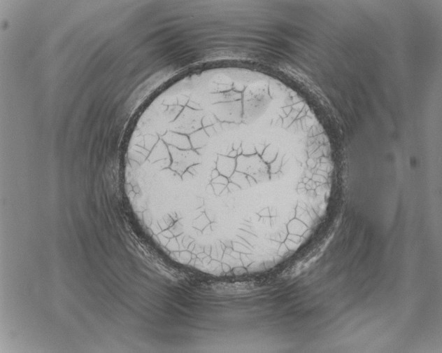 X0000069391121200606021625