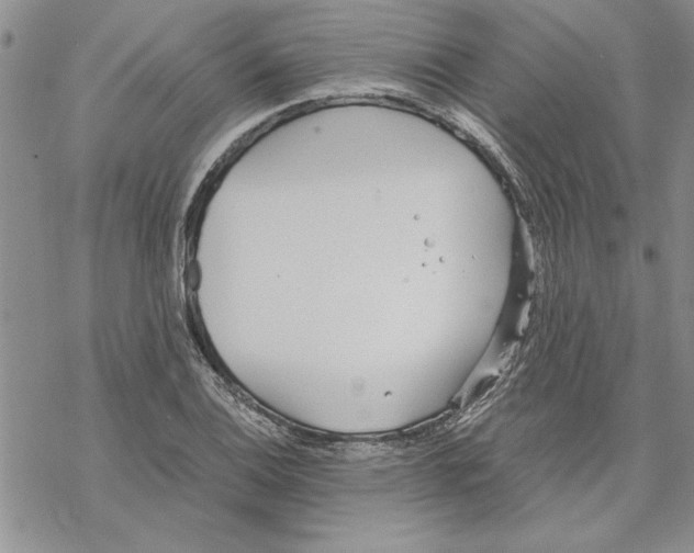 X0000069391124200606021625