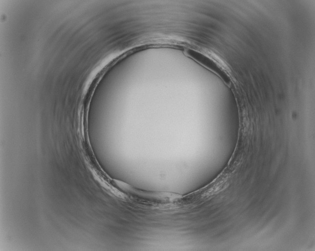 X0000069391128200606021625