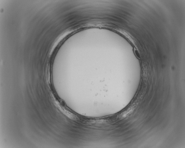 X0000069391131200606021625