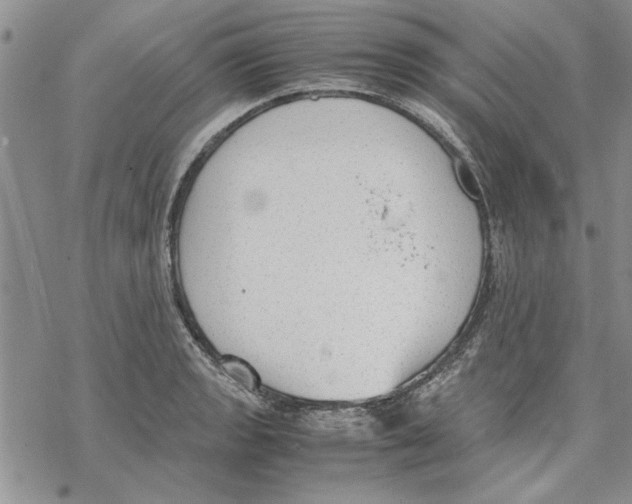 X0000069391133200606021625