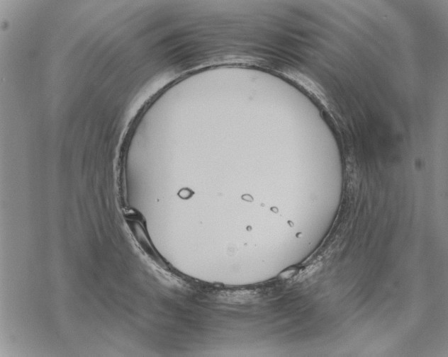 X0000069391135200606021625