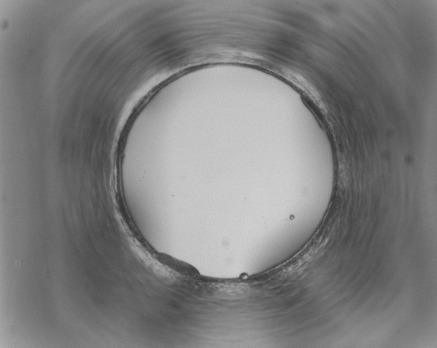 X0000069391136200606021625