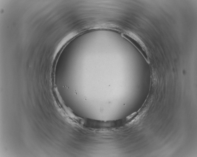 X0000069391138200606021625