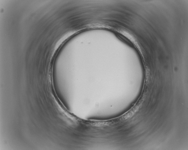 X0000069391141200606021625