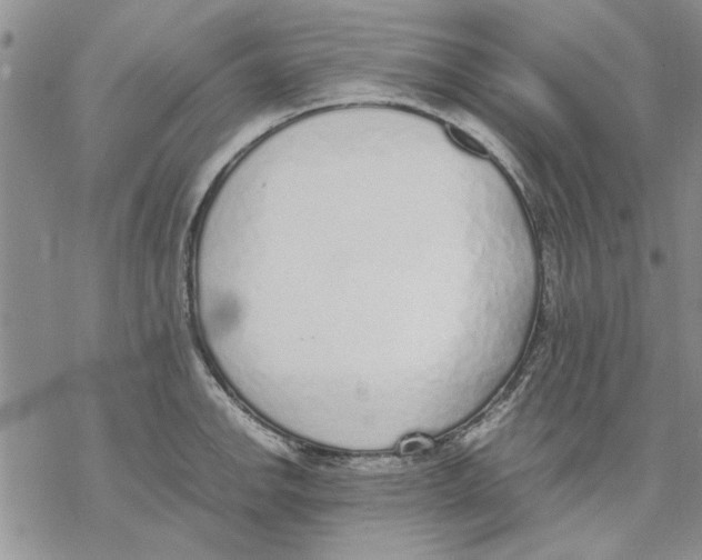 X0000069391142200606021625