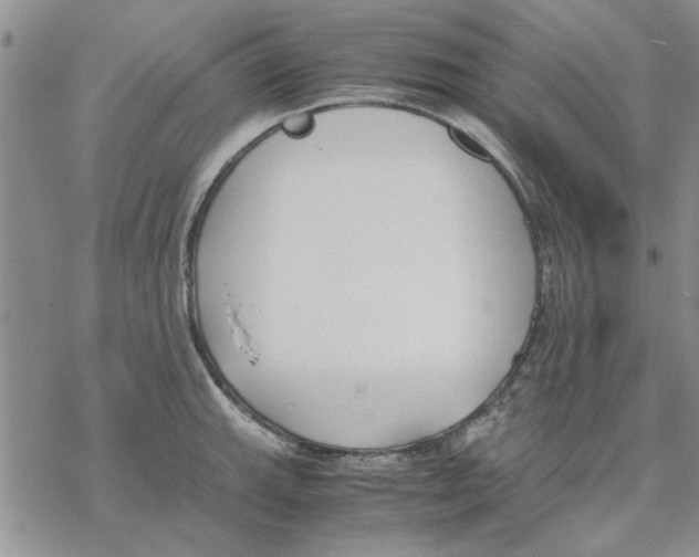 X0000069391143200606021625