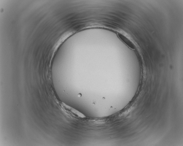 X0000069391145200606021625