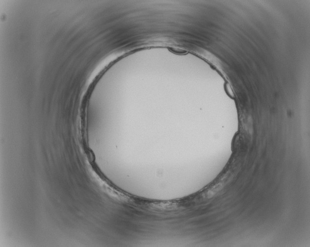 X0000069391147200606021625