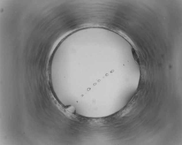 X0000069391148200606021625