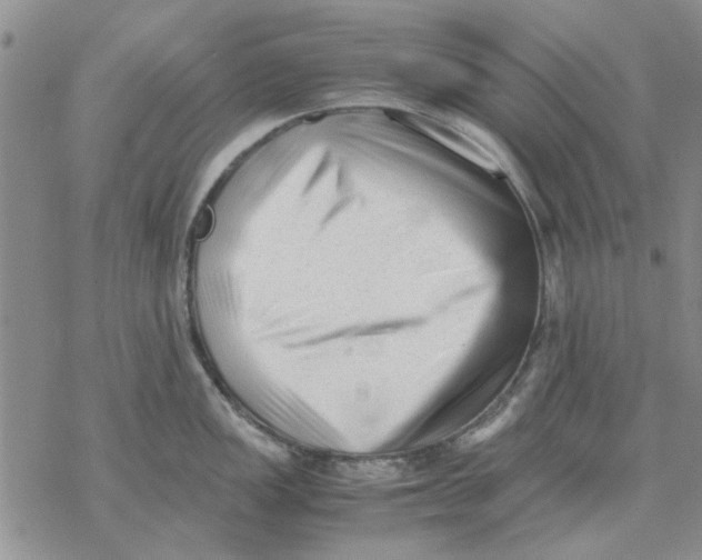 X0000069391149200606021625