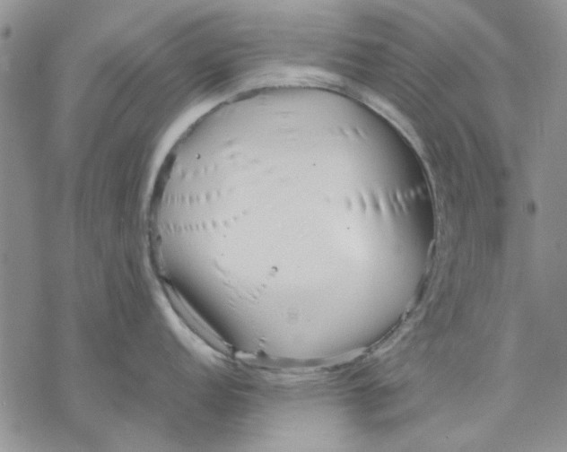 X0000069391152200606021625