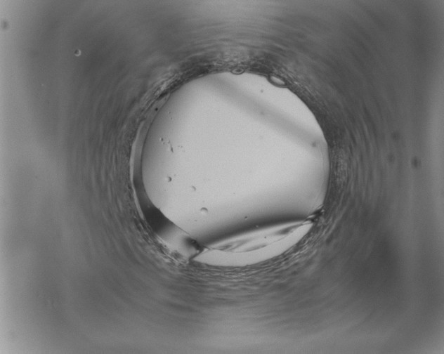 X0000069391153200606021625