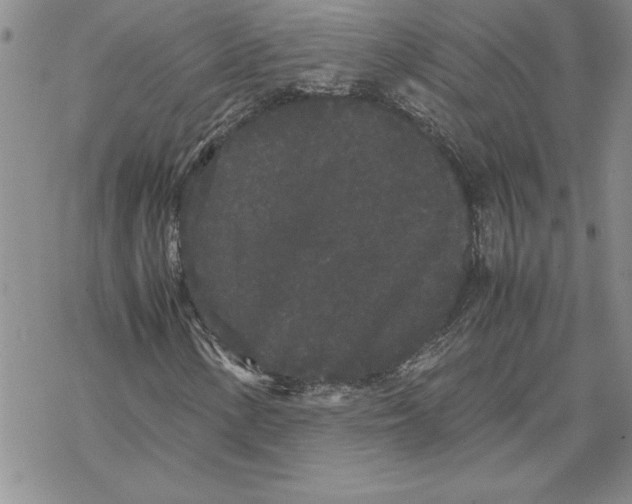 X0000069391154200606021625