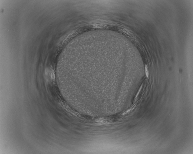 X0000069391155200606021625