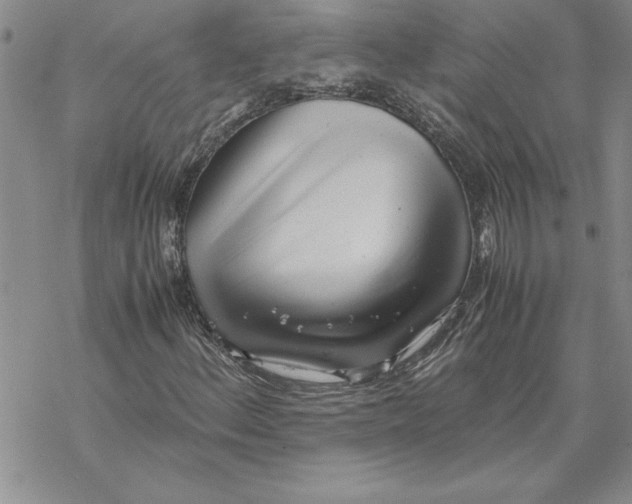 X0000069391156200606021625