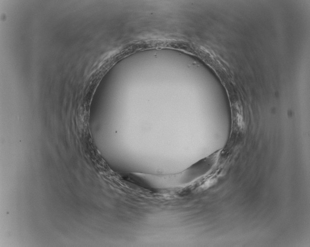 X0000069391157200606021625