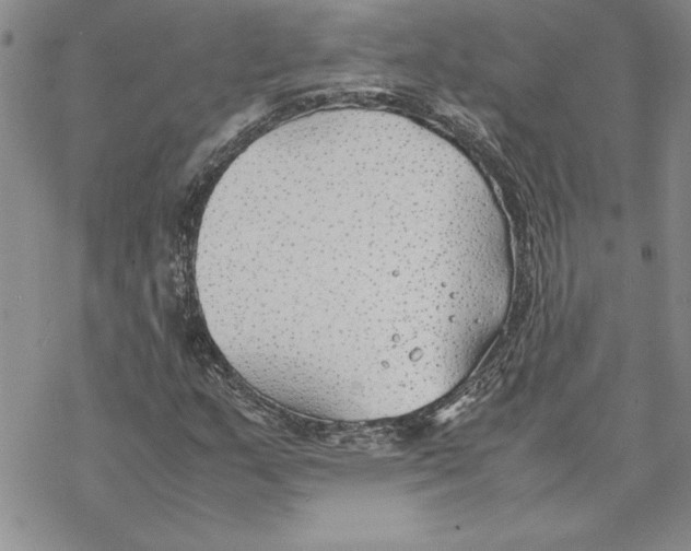 X0000069391159200606021624