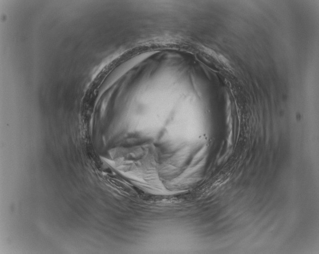 X0000069391160200606021624