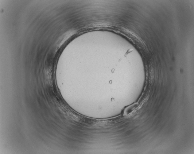 X0000069391162200606021624