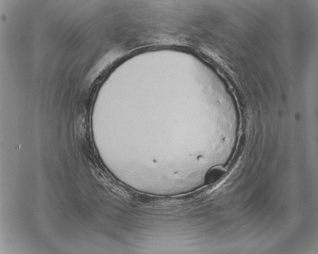 X0000069391163200606021624