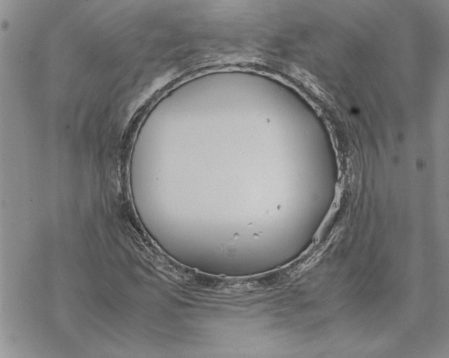 X0000069391165200606021624