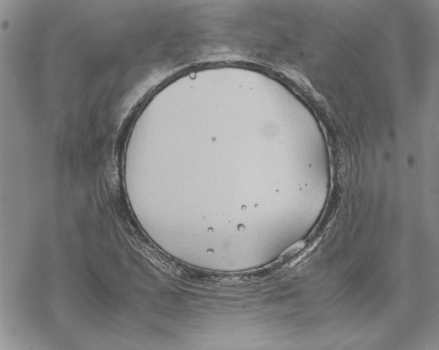 X0000069391167200606021624