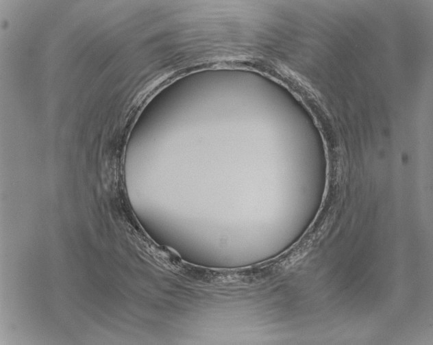 X0000069391169200606021624