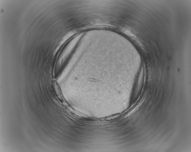 X0000069391170200606021624