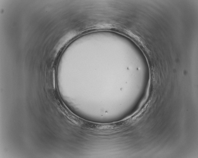 X0000069391171200606021624