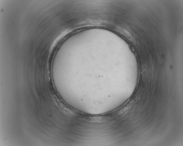 X0000069391172200606021624