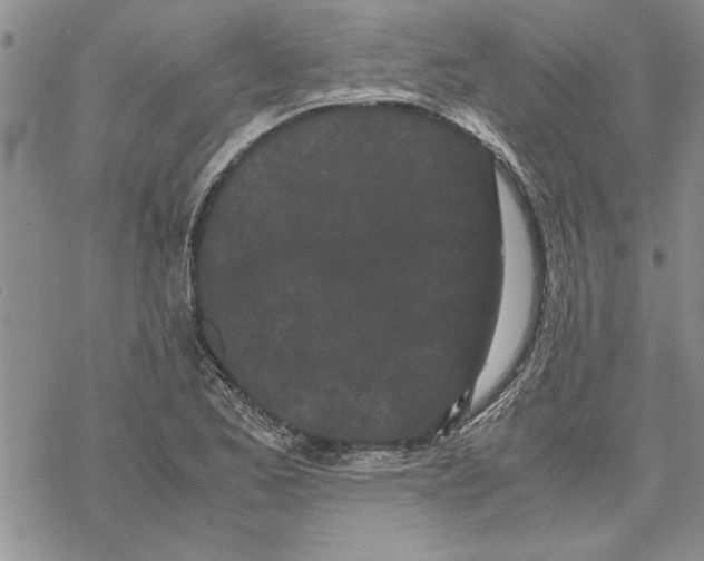 X0000069391173200606021624