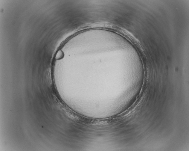 X0000069391174200606021624