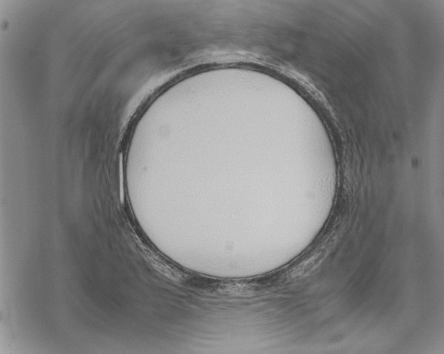 X0000069391175200606021624