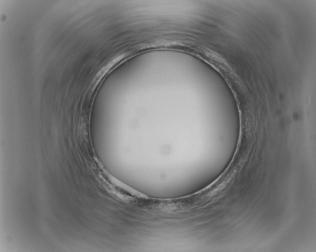 X0000069391177200606021624