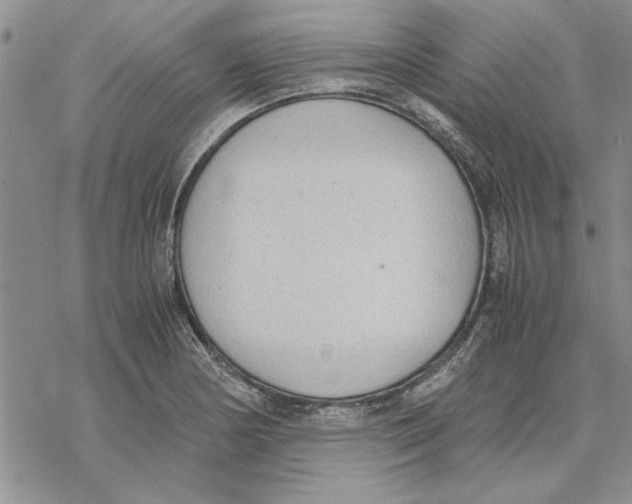 X0000069391178200606021624