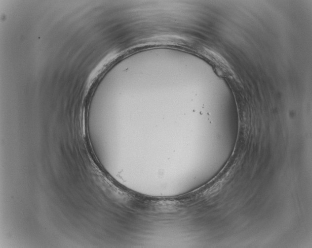 X0000069391180200606021624