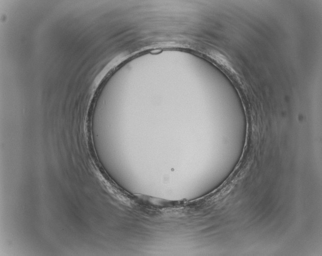 X0000069391181200606021624