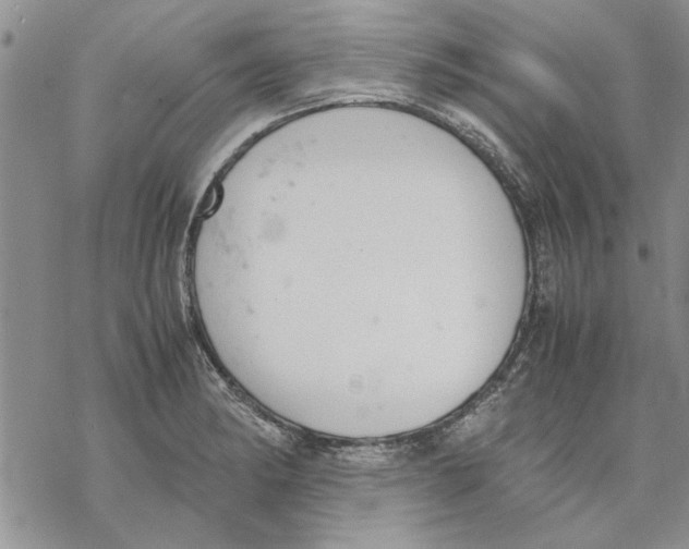 X0000069391182200606021624