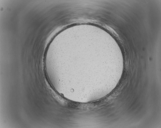 X0000069391183200606021624