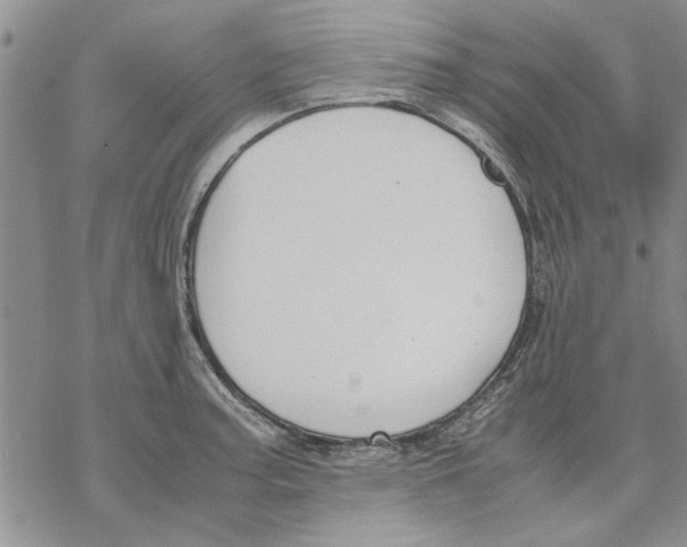 X0000069391187200606021624