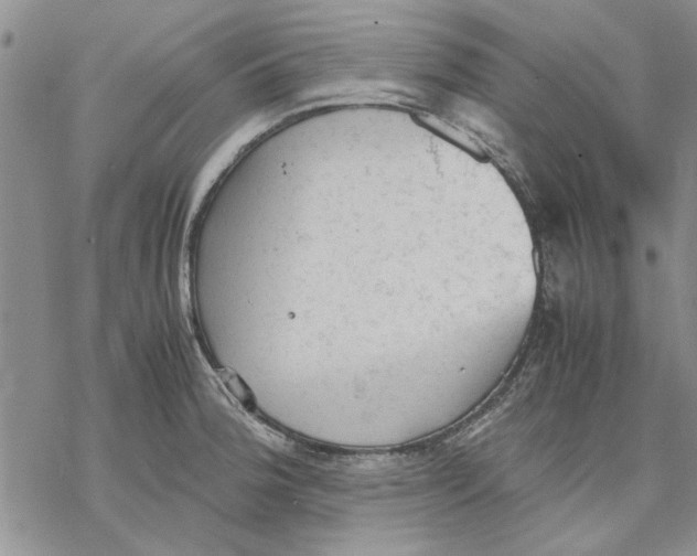 X0000069391188200606021624