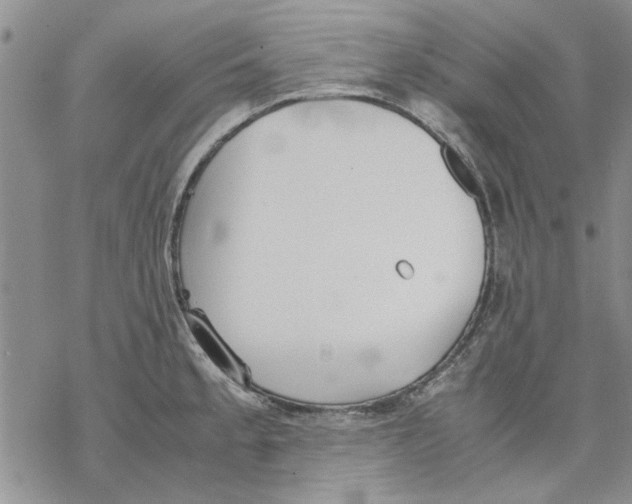 X0000069391189200606021624