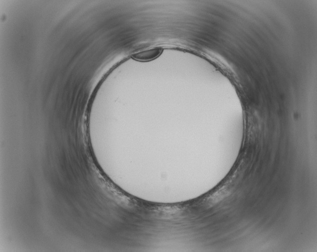 X0000069391190200606021624