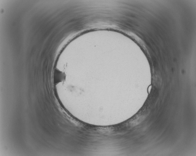 X0000069391191200606021624