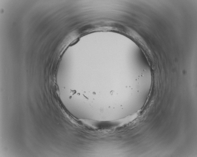 X0000069391193200606021624