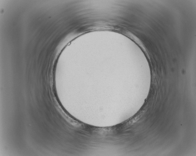 X0000069391195200606021624