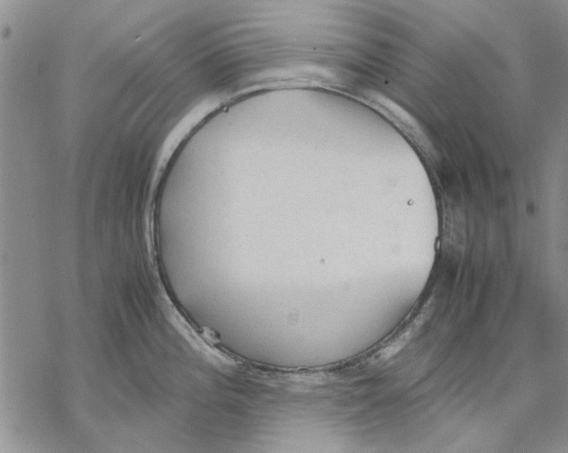 X0000069391196200606021624