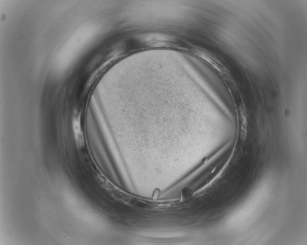 X0000069391198200606021624