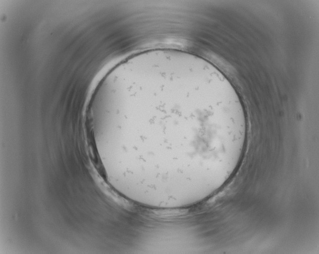 X0000069391200200606021624